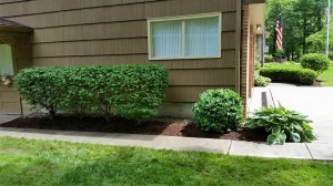 2015-06-02 (4)